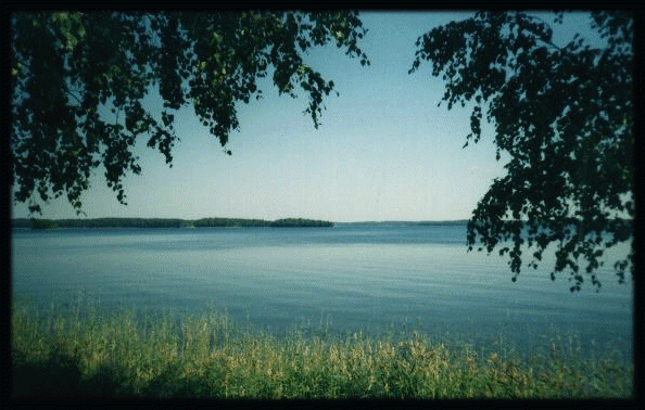 lake3.gif